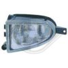 DIEDERICHS 2290089 Fog Light